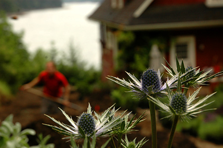 Becki and thistle