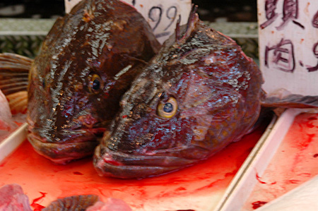 fish heads