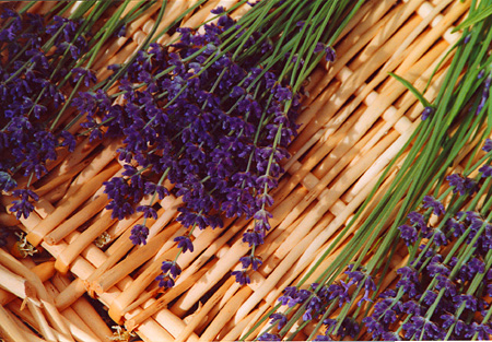 lavender basket