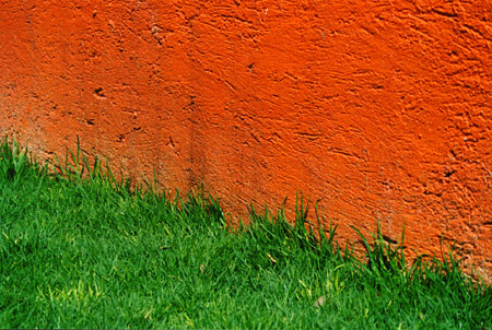 orange / grass