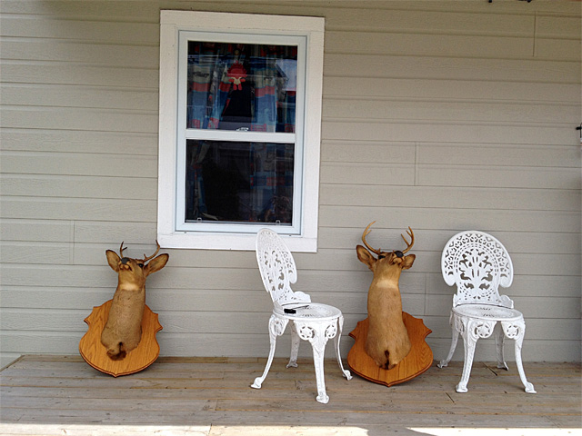 deerheads