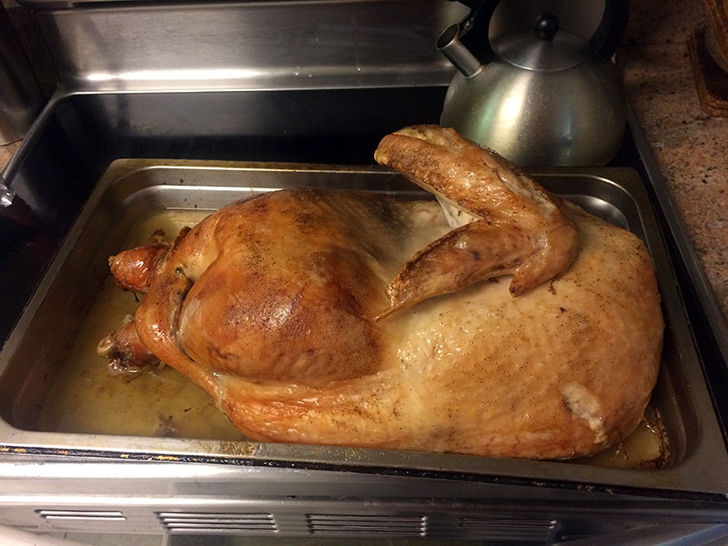 half44poundturkey